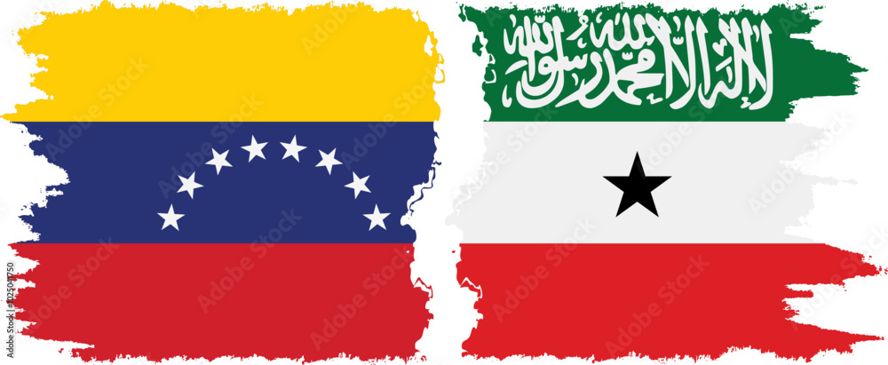 Fototapeta premium Somaliland and Venezuela grunge flags connection, vector