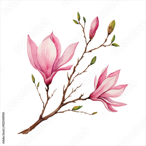 Beautiful magnolia flowers vector art illustration watercolor pattern design