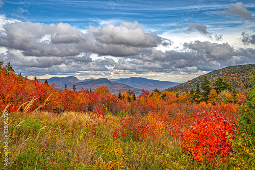 Along the Kancamagus Highway