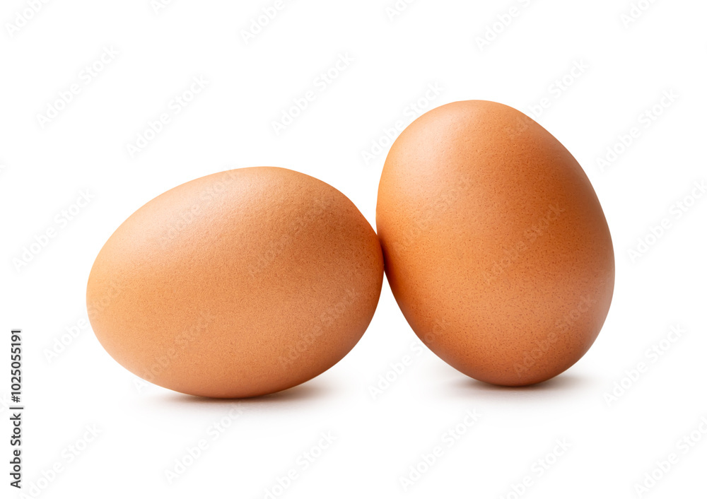 Side view of two fresh brown chicken eggs in stack isolated on white background with clipping path Side view of two fresh brown chicken eggs in stack isolated on white background with clipping path