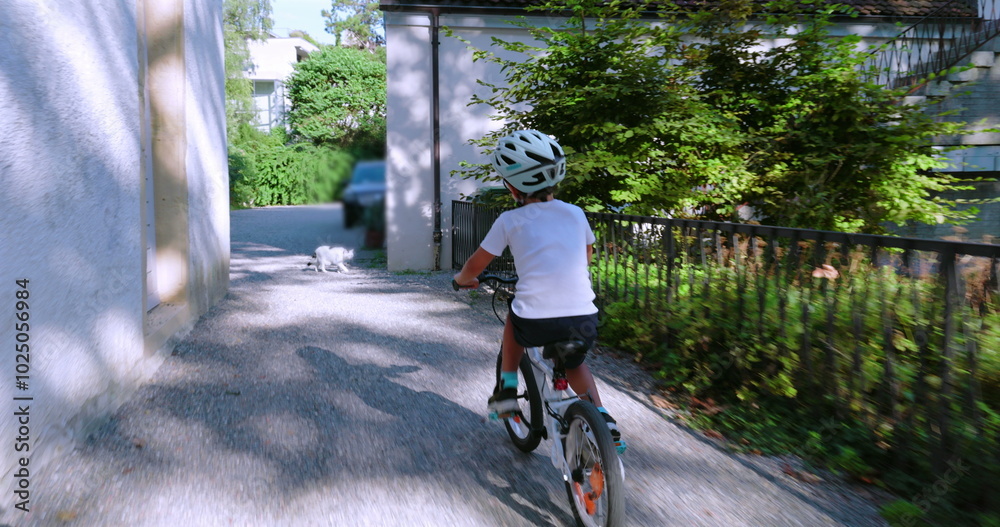 Obraz premium Young boy riding a bicycle on a gravel path, wearing a helmet for safety, viewed from behind, with shadows and greenery, enjoying a sunny day outdoors