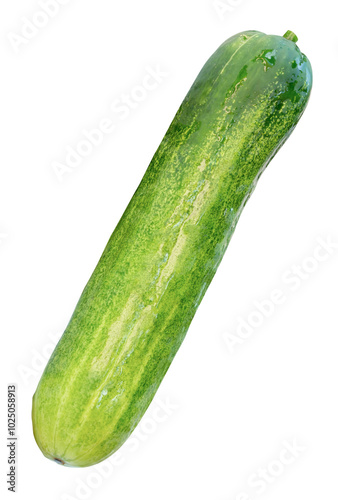 Top view of fresh long green cucumber isolated on white background with clipping path