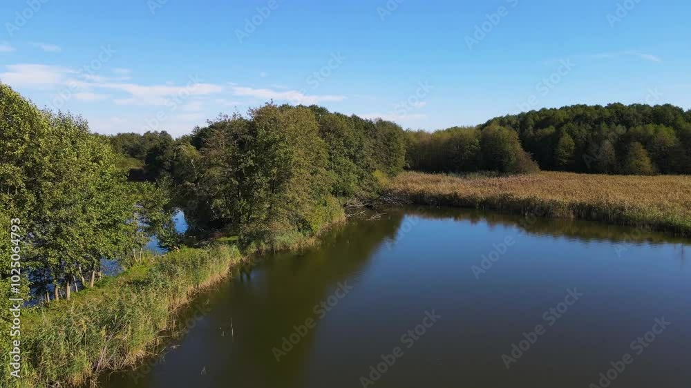 Carp Fish Farming Lakes Nowe Grodzisk Landscape Park Poland Carp Fish Farming Lakes Nowe Grodzisk Landscape Park Poland