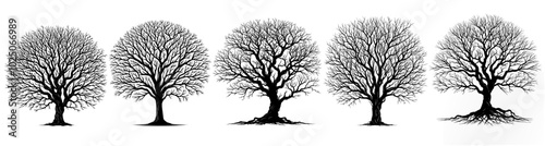 silhouette trees set on white background. realistic detailed trees set reflecting horror, spooky, death, pollution, winter, desert etc. design element for web, app, ui etc. 