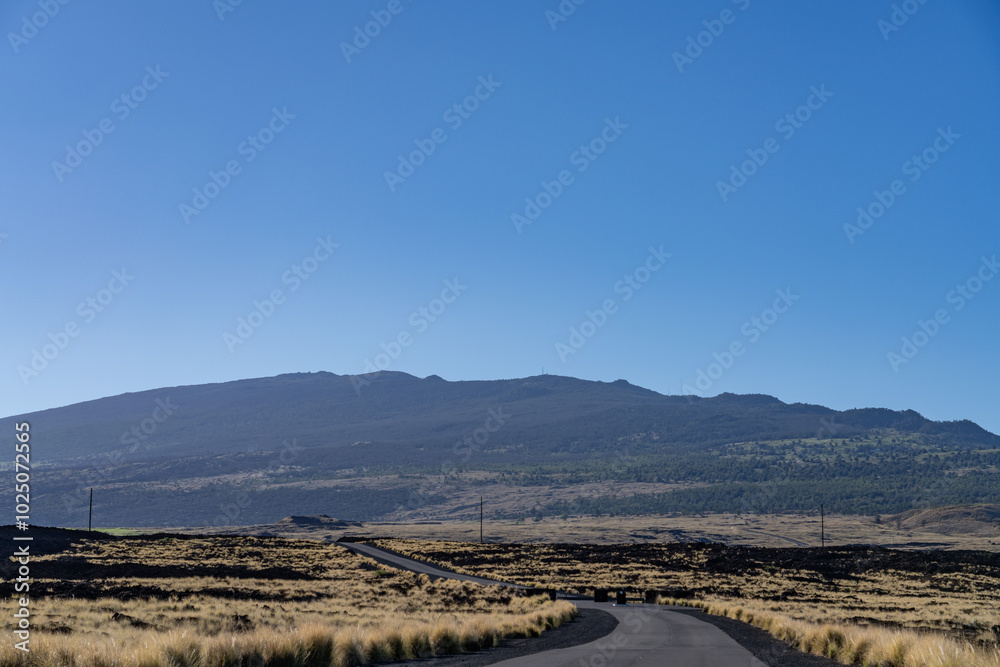 3,000-5,000 yr Lava flows, Hualalai Volcanics, Kaupulehu Rd, Kona, Hawaii island. Cenchrus setaceus,crimson fountaingrass, 3,000-5,000 yr Lava flows, Hualalai Volcanics, Kaupulehu Rd, Kona, Hawaii island. Cenchrus setaceus,crimson fountaingrass,