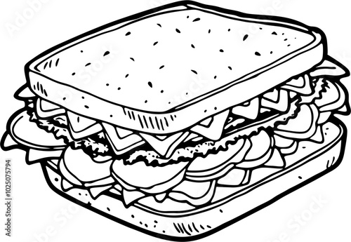 illustration hand drawn of sandwich vector