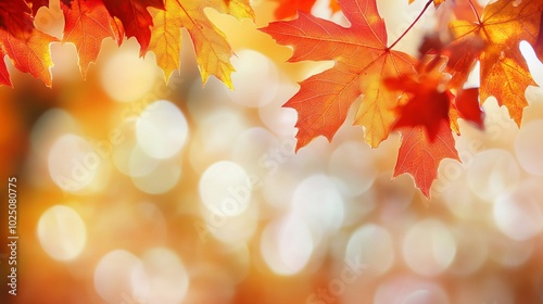 Autumn Leaves: Vibrant Red and Orange Maple Leaves with Bokeh Background