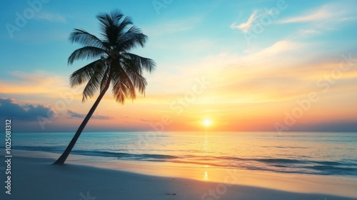Palm Tree Silhouetted Against a Vibrant Sunset Over the Ocean