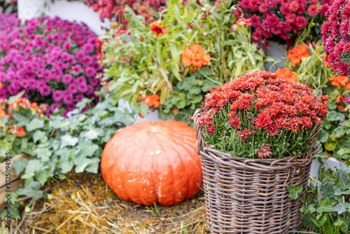 A colorful and cheerful Autumn Harvest Display featuring vibrant Pumpkins and beautiful Flowers