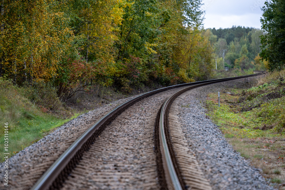 Railway tracks curve through the autumn forest Railway tracks curve through the autumn forest