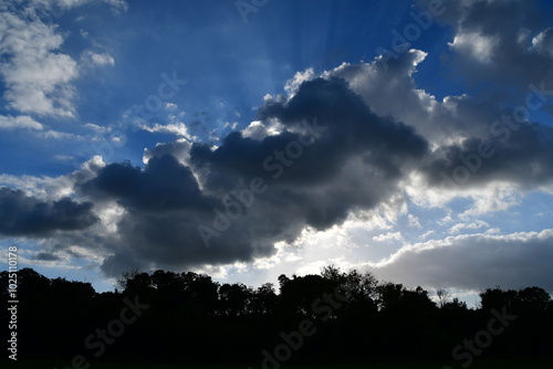 Blue sky and clouds, Kilkenny Castle Park, Kilkenny, Ireland photo