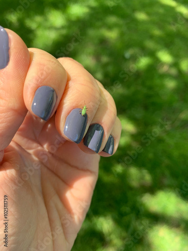 A close-up of a woman's bent hand with purple nails, holding a small insect on one finger. The background is washed out greenery, making the tiny insect the main focus of the image.