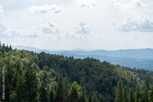Mountains ranges in the Carpathians. Hills, forest and meadows. Green valley. Nature