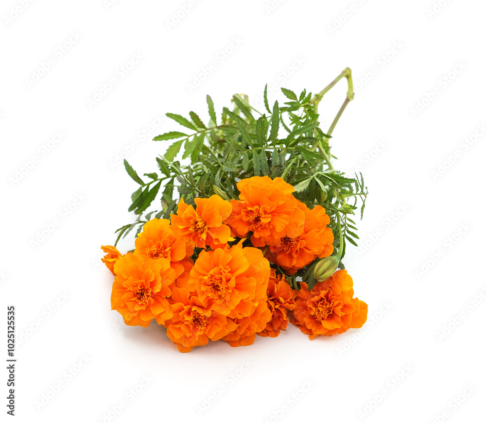 Bouquet of marigolds.