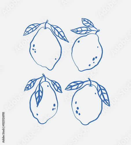 Hand drawn set of lemons. Line art. Vector illustration.