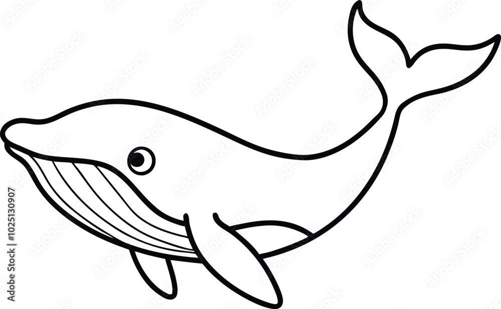 Blue whale outline vector. Line art illustration design. One continuous line drawing of giant whale. Sea mammals in outlines. Big ocean mammal animal mascot concept. Blue whale outline vector. Line art illustration design. One continuous line drawing of giant whale. Sea mammals in outlines. Big ocean mammal animal mascot concept.