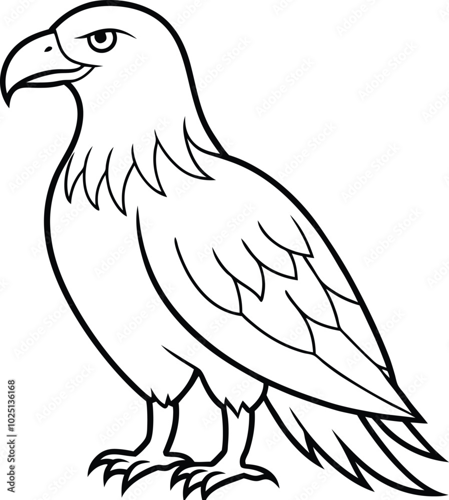 Obraz premium An Eagle outline vector and line art illustration design. Flying Birds like Silhouette. American eagle wild bird of prey soaring. Falcon or hawk carnivore avian animal.
