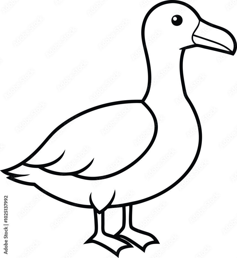 Albatross Bird Outline Vector Illustration - Cartoon, Line Art Design. Albatross line drawing vector and line art design. Bird gull vector icon.