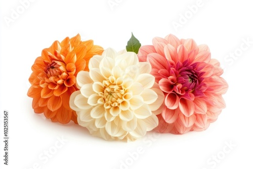 A bouquet of three unique flowers on a white background #1025153567