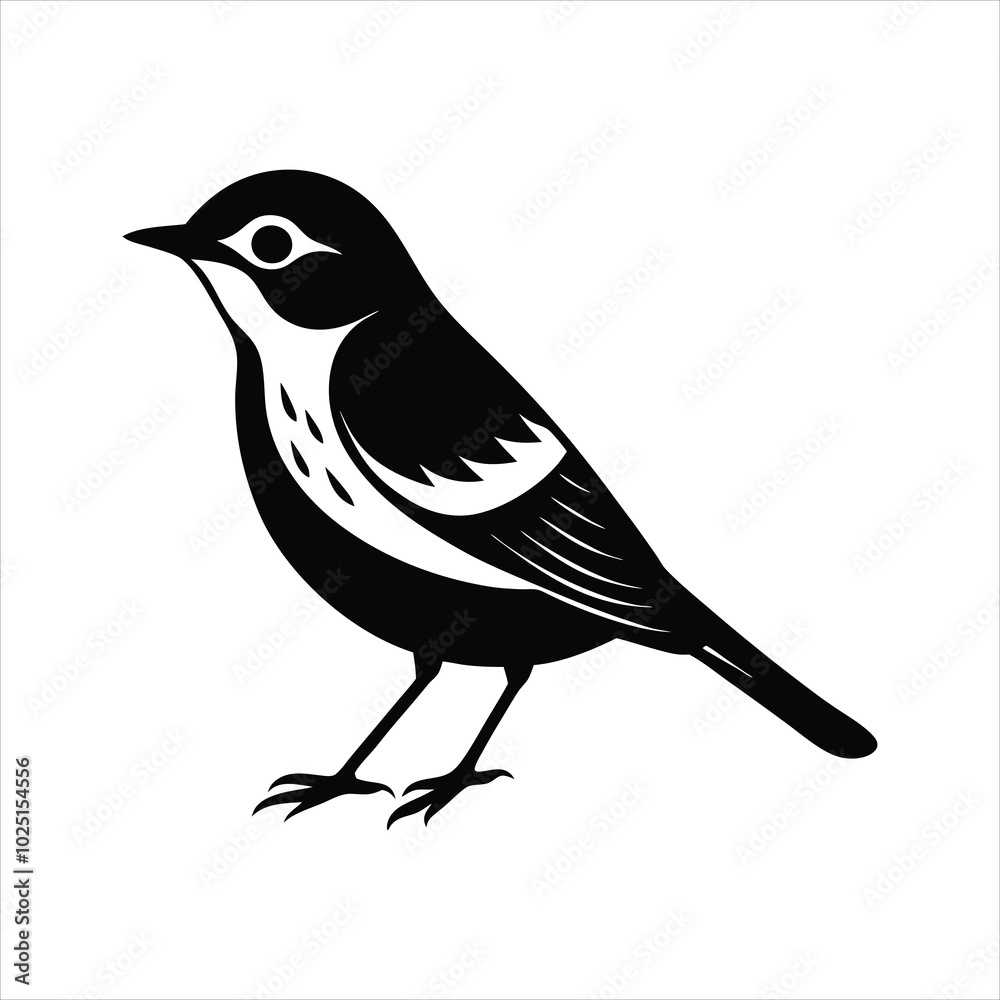 illustration of a bird