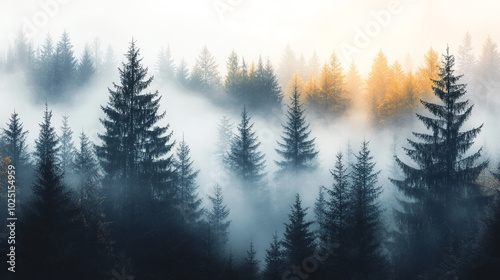 Seamless pattern with foggy spruce forest