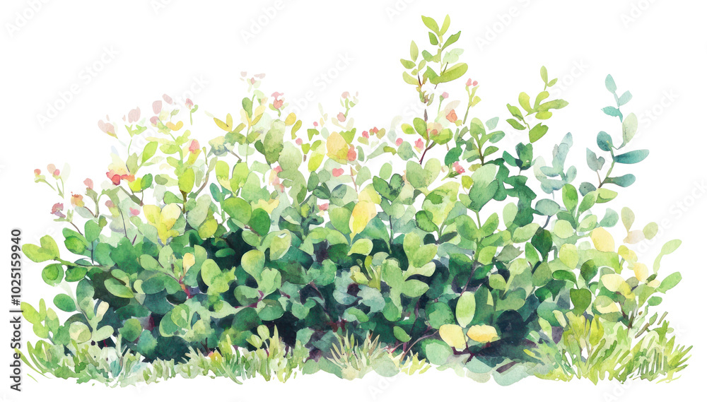 PNG Green bushes with flowers art illustration watercolor. PNG Green bushes with flowers art illustration watercolor.