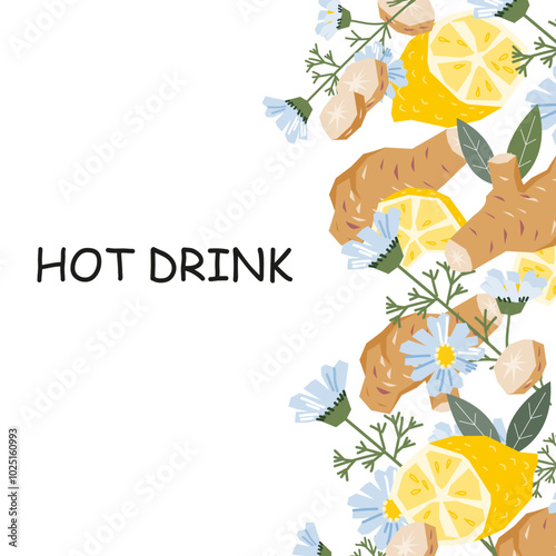 Background with ginger, chamomile and lemon for herbal tea and hot drinks label, flat vector illustration on white background.