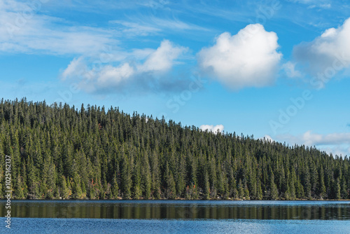 Fiskelausen Lake from the northern part of the Svartdalstjerna Forest Reserve of the Totenåsen Hills, Norway, in fall. photo