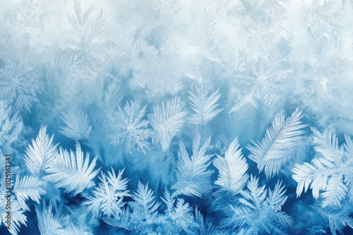 Close-up of intricate frost patterns on a window