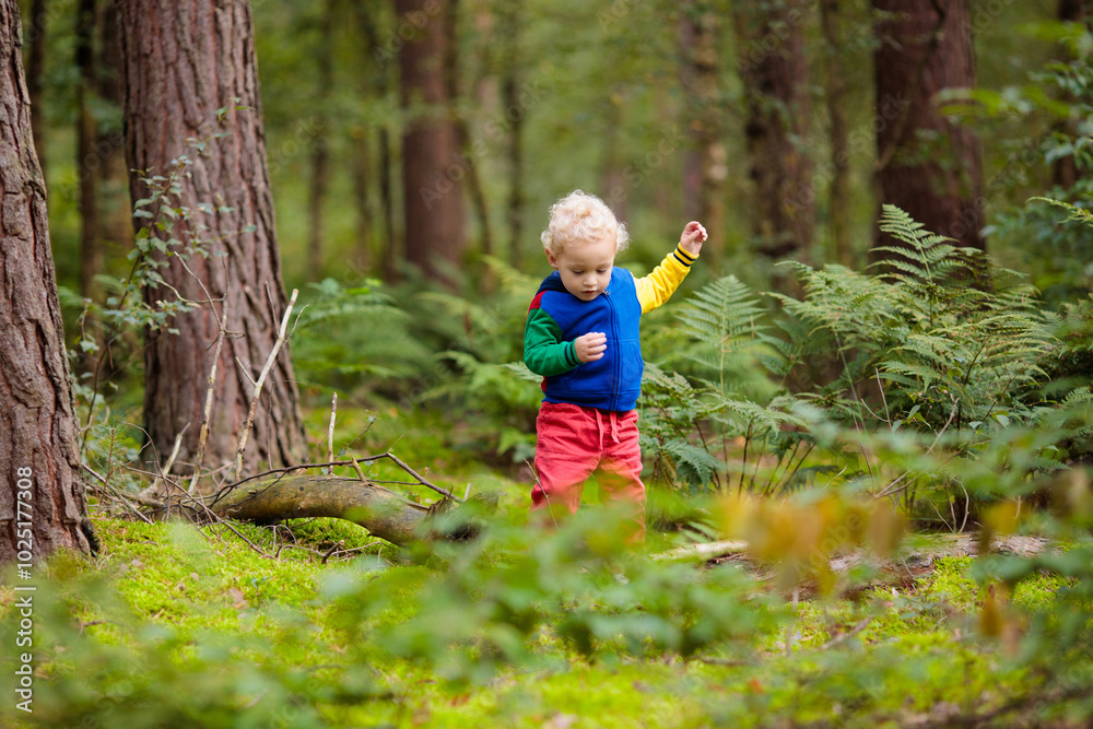 Kids hiking in autumn park