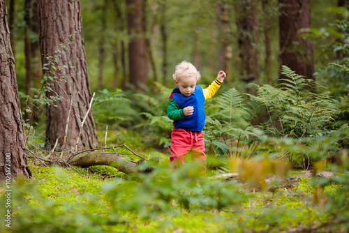 Kids hiking in autumn park