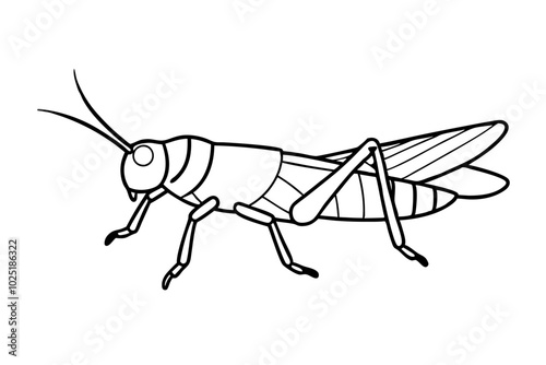 illustration of a wasp