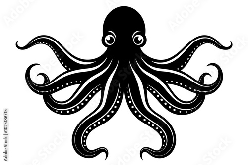 black and white octopus