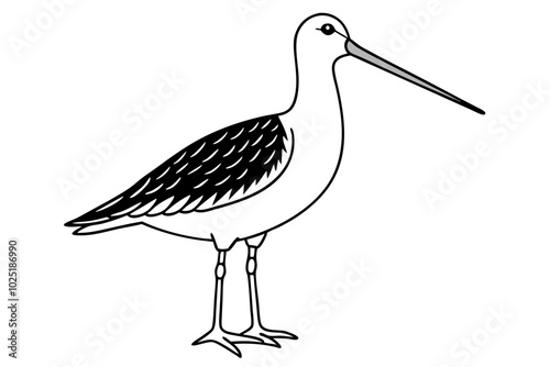 yellow billed stork