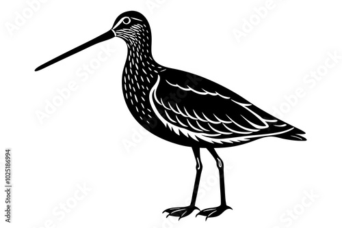 black crowned crane