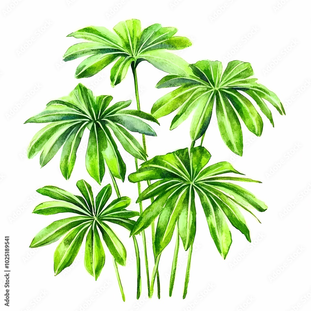 Watercolor Palm Leaves Swaying in the Breeze Watercolor Palm Leaves Swaying in the Breeze