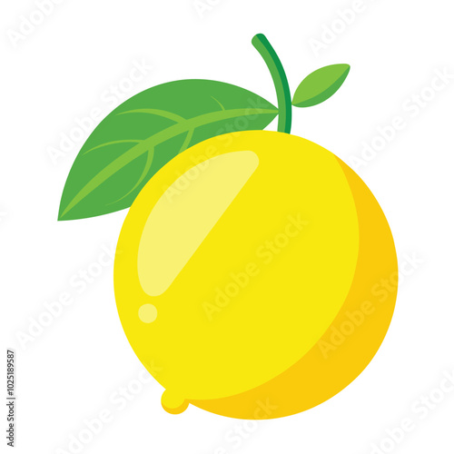 Lemon  fruit Vector Illustration isolated on white background