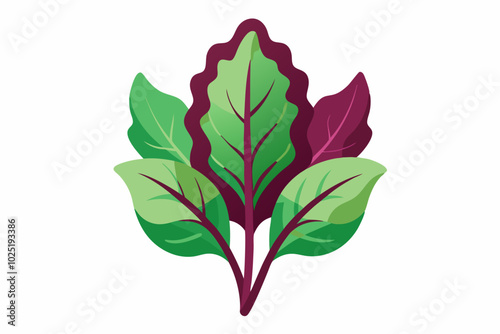 Amaranth greens Amaranthus spp  creative vector design