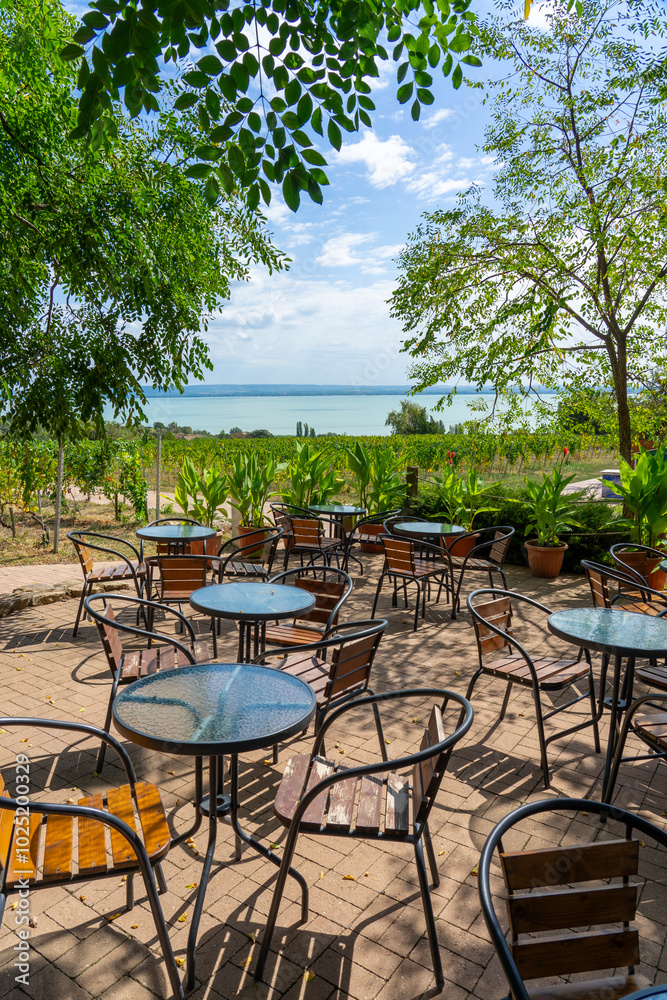 Fototapeta premium table and chairs in the nature with a beautiful Lake Balaton view in Folly arboretum