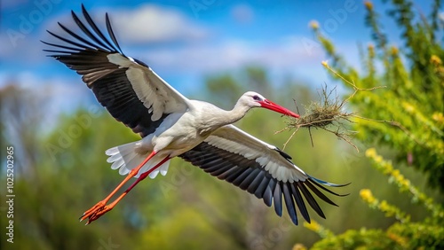 aerial view, feathers, elegant, symbolism, long legs, A stock photo featuring a graceful white stork in flight holding a twig in its beak for nest building captured from a bird s eye view photo