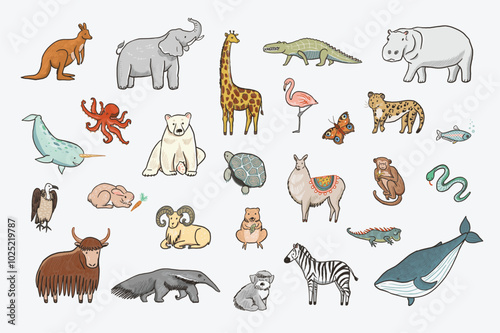 Art & Illustration