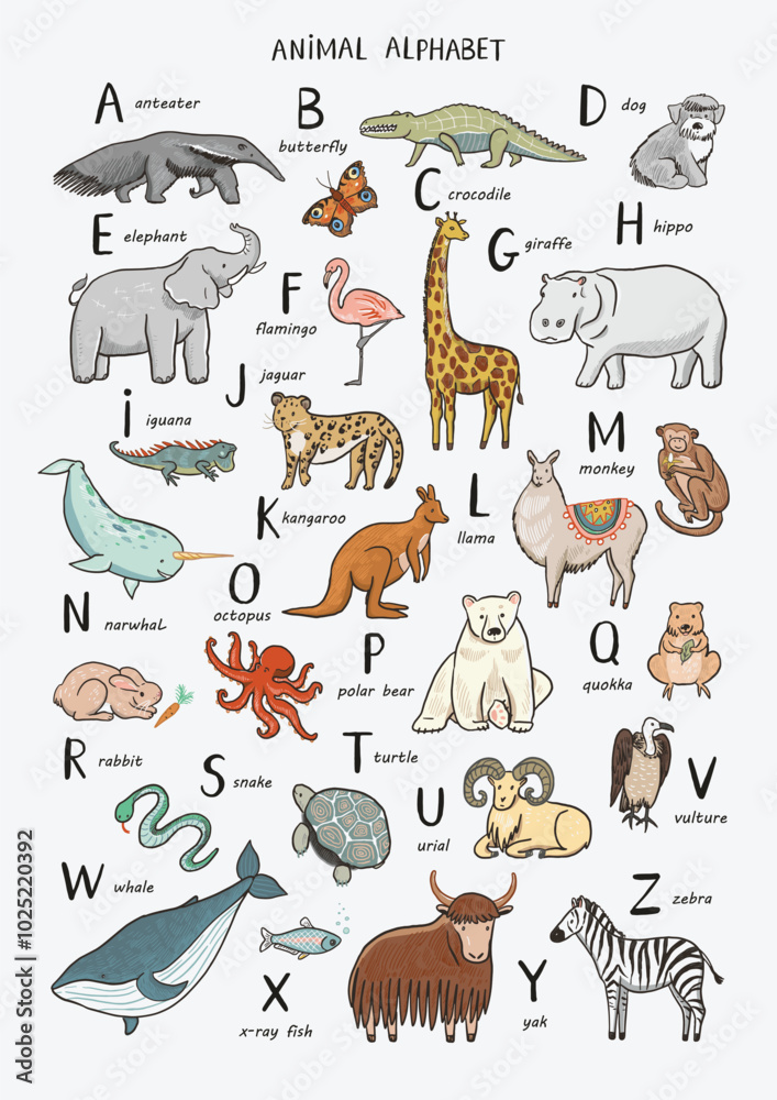Fototapeta premium Animals alphabet set. Hand drawn vector illustration. Isolated on white background.