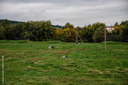 Solonceni village in the Rezina district of the Republic of Moldova photo