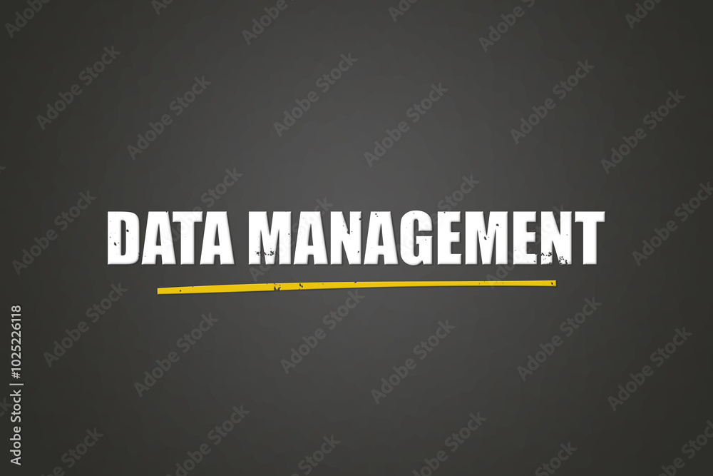 Data Management. A blackboard with white text. Illustration with grunge text style. Data Management. A blackboard with white text. Illustration with grunge text style.