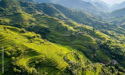 Aerial view of Cha fields with terraces and patterns