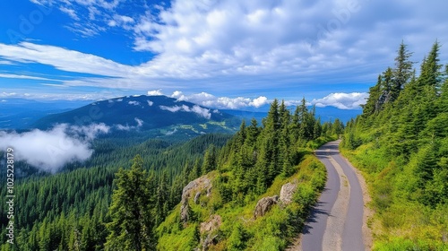 Scenic Overlook Road Surrounded by Lush Greenery