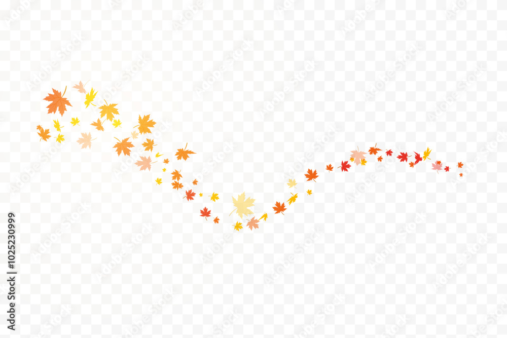 Falling isolated autumn colored maple leaves isolated on transparent or white background Falling isolated autumn colored maple leaves isolated on transparent or white background