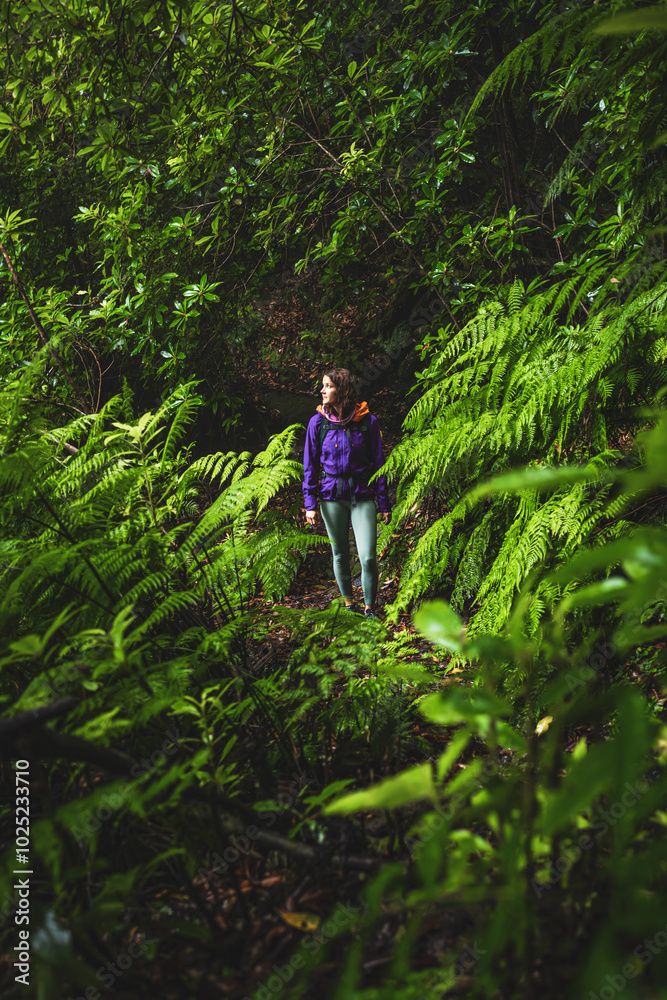 Female tourist wearing a hard shell rain jacket looks into the forest as she walks through ferns in a wet rainforest. Poco dos Pulgas waterfalls, Madeira, Portugal, Europe.