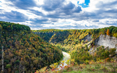 Gennessee River Gorge in Letchworth State Park in New York