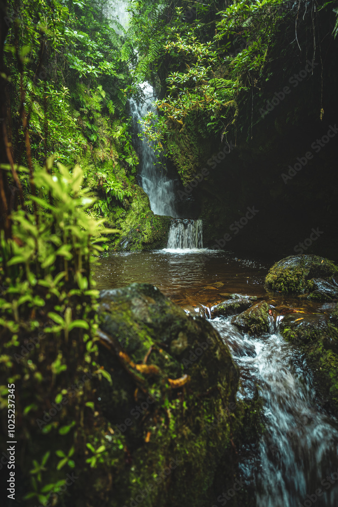 Obraz premium Peaceful rainforest scene at a natural waterfall in the depths of the rainforest. Poco dos Pulgas waterfalls, Madeira Island, Portugal, Europe.